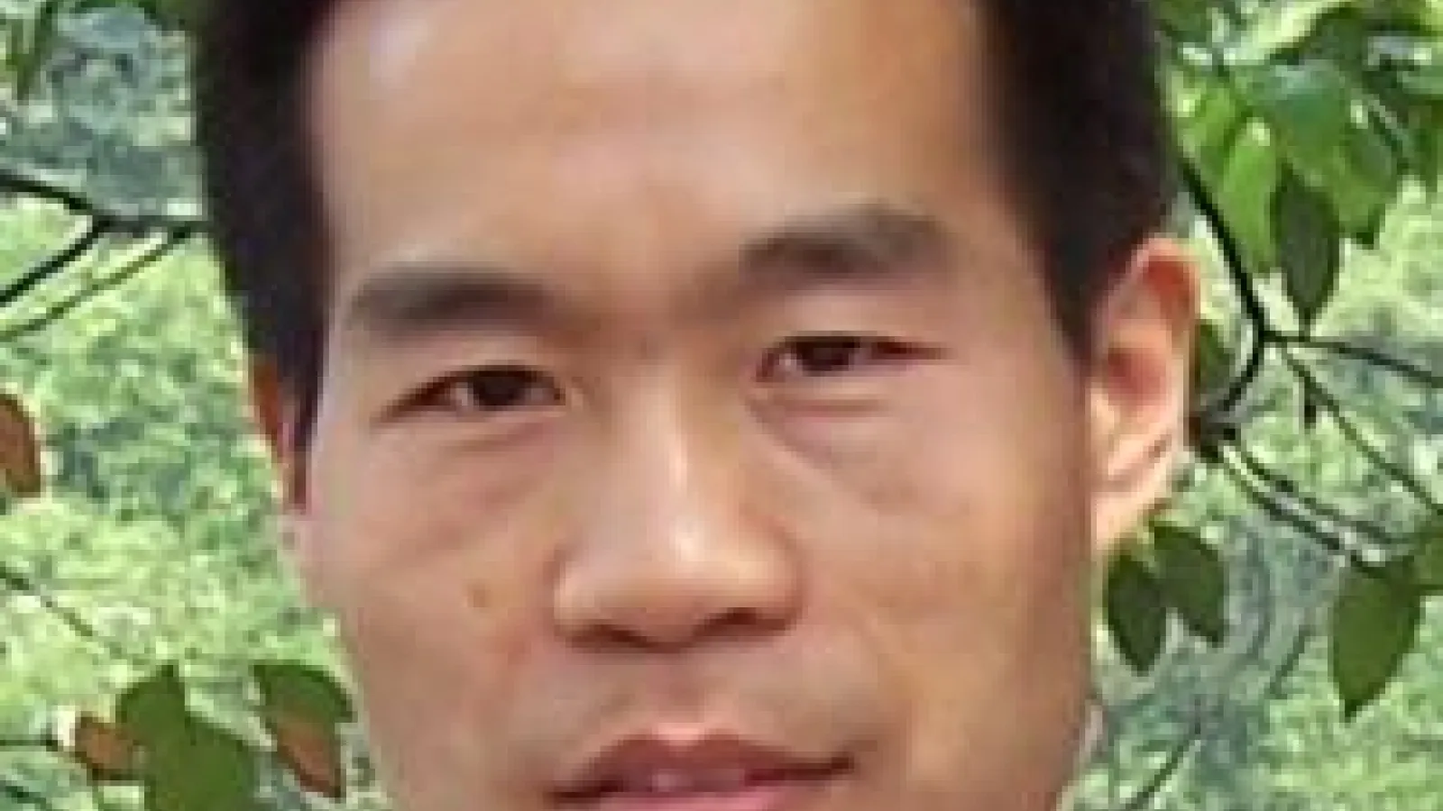 Hongjie Liu head shot