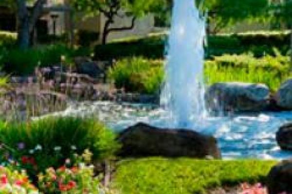 Decorative fountain surrounded by greenery